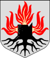 Somero vaakuna