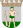 Lappeenranta vaakuna